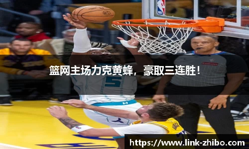 智博体育