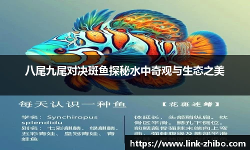 智博体育官方网站